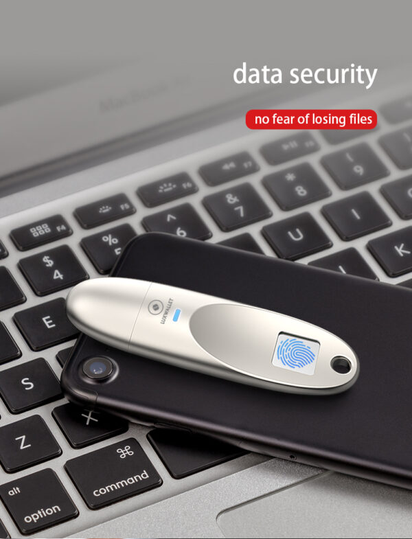 LUXWALLET® Infinity Series - Vingerafdruk 128GB USB 3.0 Stick Kluis AES256 Encryptie + Luxe Pouch - Afbeelding 13