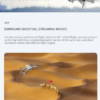LUXWALLET Nocchi PRO 4D - 30 KM/h - 230 Gram- 5Ghz WiFI GPS Drone (500 meter)- 4K Foto - Live Video  Quadcopter - Wide Angle + 2 Accu + Opbergcase - Afbeelding 7