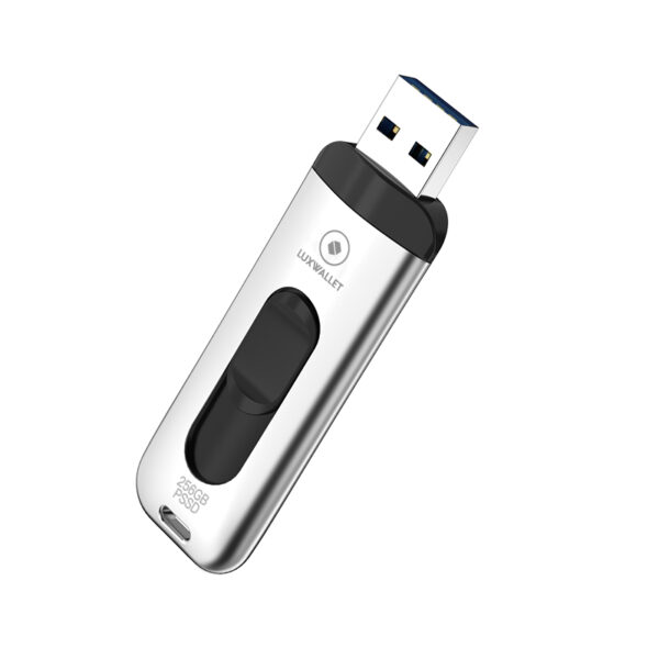 LUXWALLET SSD1 - Flash Drive 512GB - 300 MB/s - USB 3.1/3.0 – Draagbare SSD Hard Drive - Solid State Drive