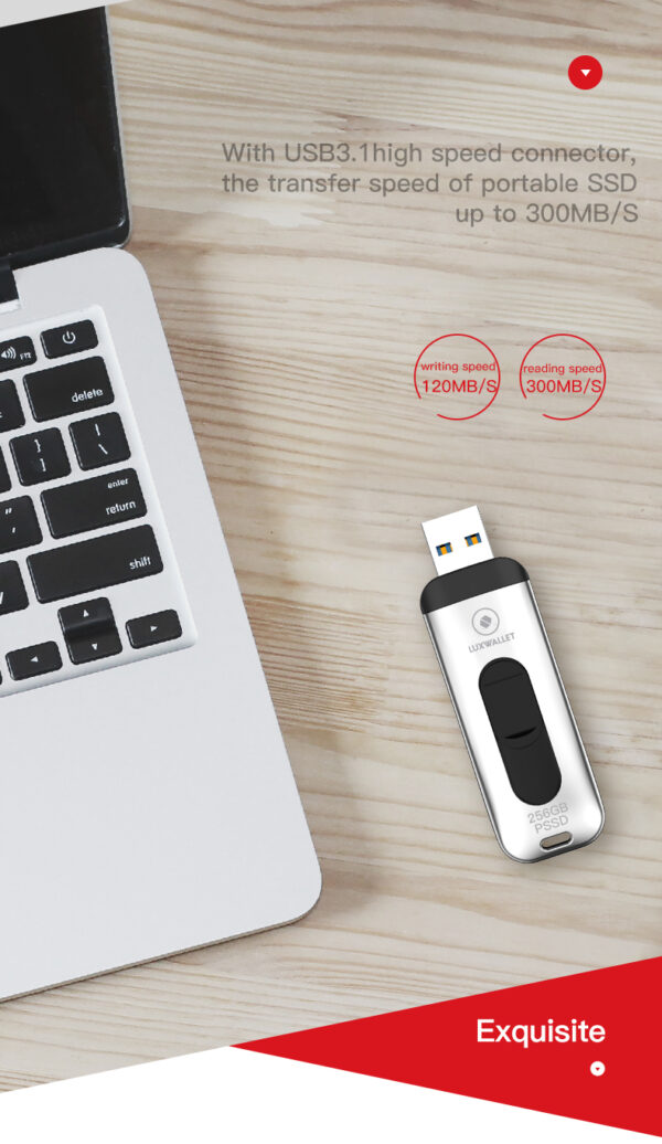 LUXWALLET SSD1 - Flash Drive 512GB - 300 MB/s - USB 3.1/3.0 – Draagbare SSD Hard Drive - Solid State Drive - Afbeelding 8