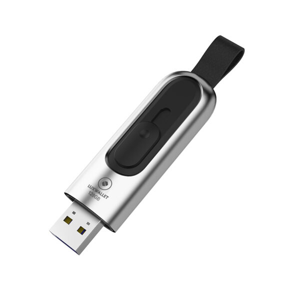 LUXWALLET PD1 Metalen USB3.1/3.0 Flash Drive – USB Stick - 64GB - Leessnelheid tot 100Mb/s – Push&Pull met Leren Staartriem- Zilver - Afbeelding 2