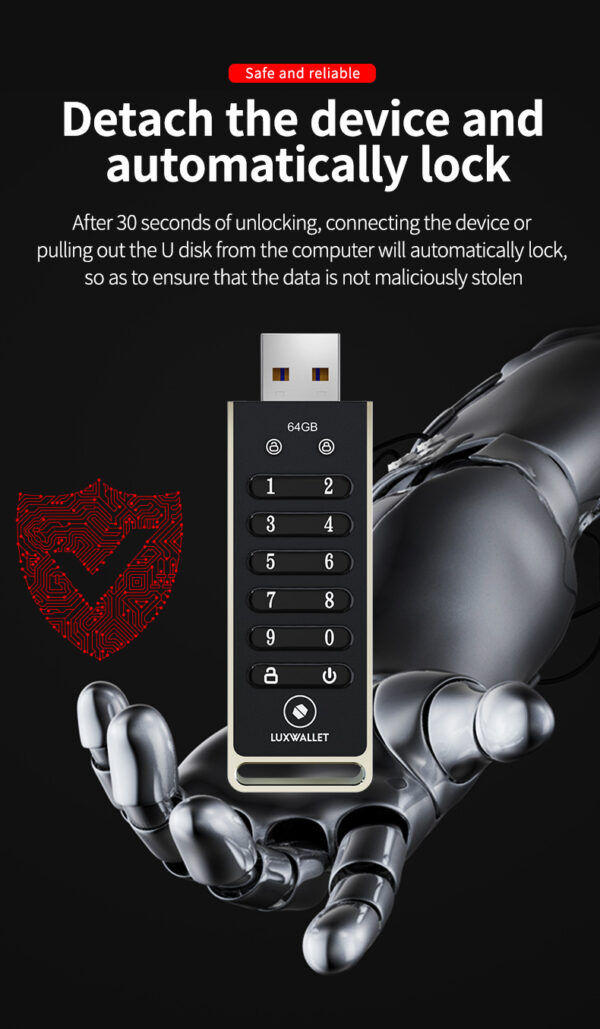 LUXWALLET SecureGuard – USB 3.0 Flashdrive Met Wachtwoord – 64GB USB Stick - Beveiligd – Geschikt voor o.a. Crypto / Bitcoin ww - Afbeelding 13