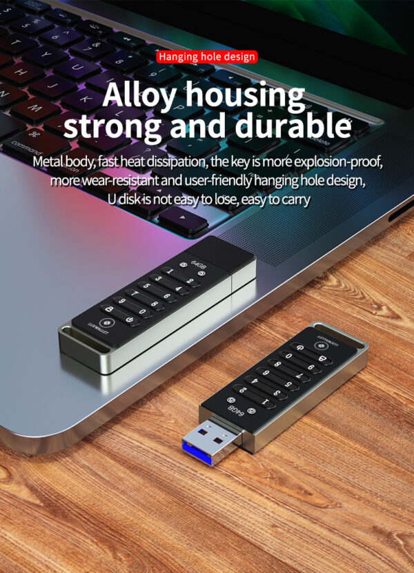 LUXWALLET SecureGuard – USB 3.0 Flashdrive Met Wachtwoord – 64GB USB Stick - Beveiligd – Geschikt voor o.a. Crypto / Bitcoin ww - Afbeelding 15