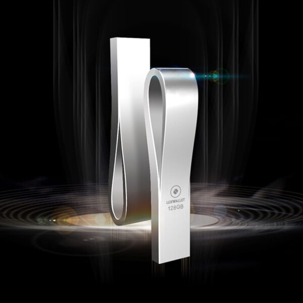 LUXWALLET SonicSwift – USB 2.0 Flashdrive – Metalen Behuizing – Stijlvol Design - USB Stick – OTG – 128GB – Zilver - Afbeelding 3