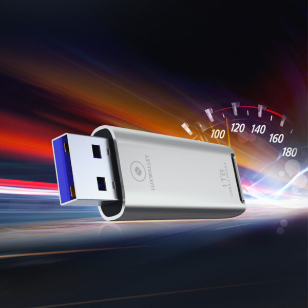 LUXWALLET FlashBlaze – USB 3.2 Flashdrive – 1TB – OTG – USB-Stick - Stootbestendig Design – Leessnelheid tot 110 Mbps – Snelle Overdracht – Zilver - Afbeelding 6